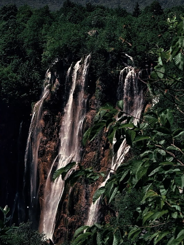 #mat trời hồng dìu muôn hoa khoe sắc 