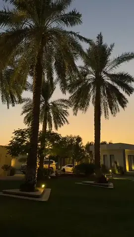 متخصصون فى التصميم الخارجي والمناظر الطبيعية لتقديم رؤية جديده  ومختلفه في عالم الديكور والتصميم وتوفيرجميع الخدمات من تصميم وتنفيذ وإشراف وتقديم أعلى مستويات الجودة والإحترافيه في العمل  #reelsinsta #fypシ゚viral #ishqurdu #عشب_جداري #trendingreels 