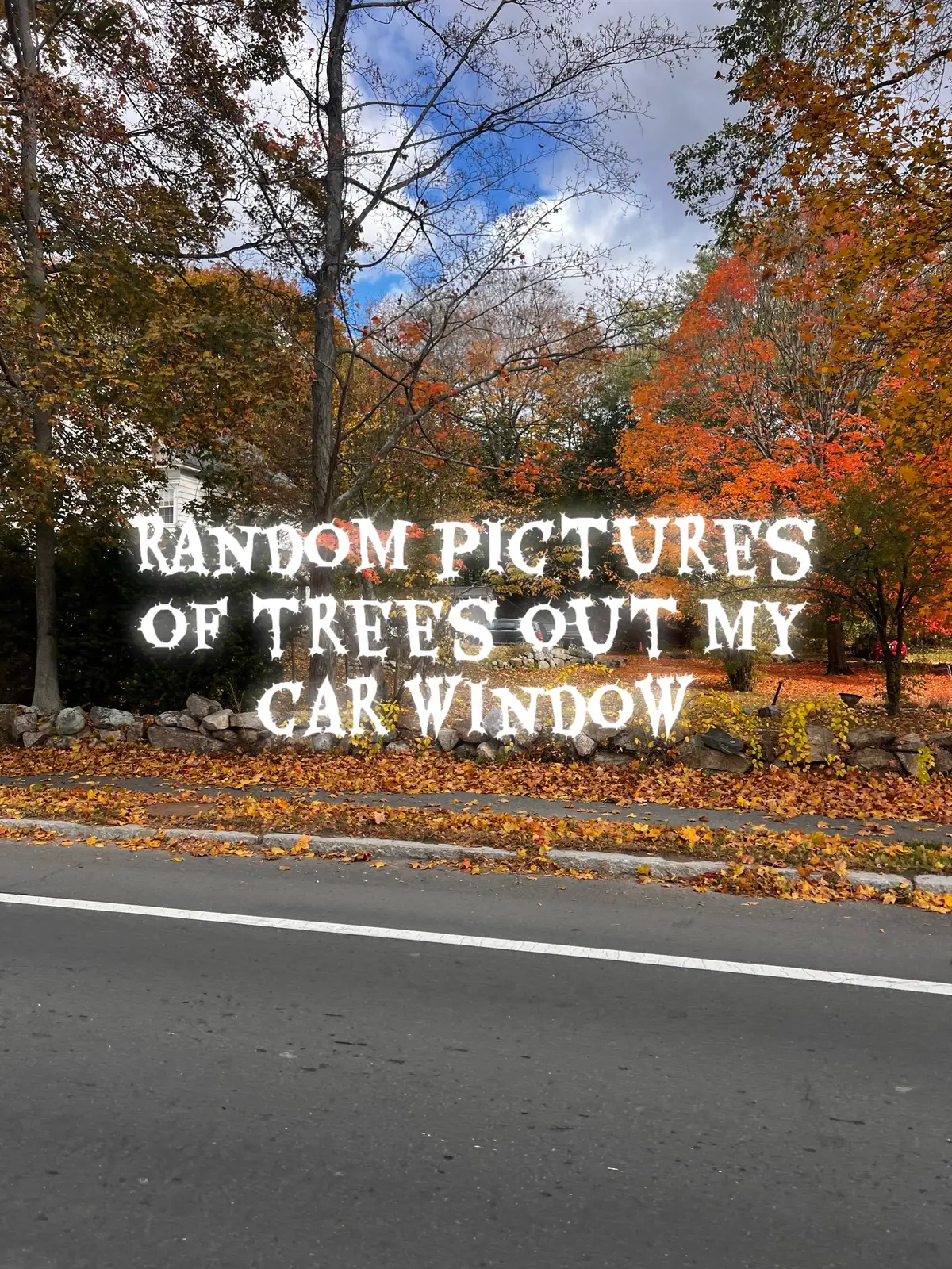 I was driving yesterday and I decided to take random shots of the foliage out my car window. Though someone might enjoy a little peaceful fall colors today. 