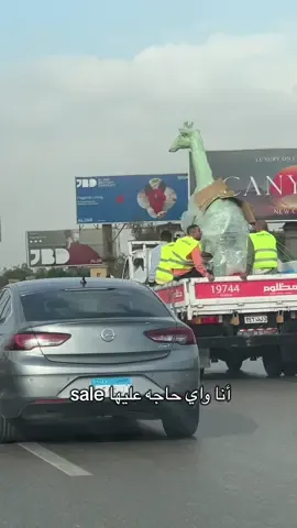 لسه بدري اوي علي احلام العصاري دي عامه 👀