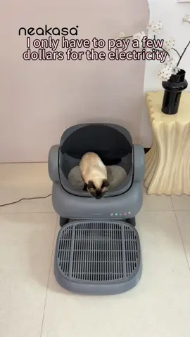 Freshness every day, our fully automatic litter box, the choice for a touch of elegance in American life. &top entry litter box #CatProducts #cat#catlitterbox #Petproducts #couple #neakasa   #NeakasaM1 #CatLitterBox #SmartLitterBox #OpenTopLitterBox #LitterRobot 
