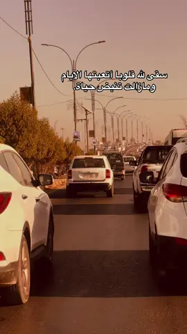 خجلان من رجعتك..#سيد_سلام_الحسيني #حسينيات #سيد_سلام_الحسيني #تصويري_احترافي_الاجواء👌🏻🕊😴 #تصويري_احترافي_الاجواء👌🏻🕊😴 