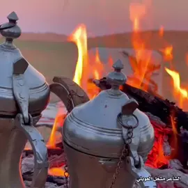 #شعر_شعبي#ذواقين__الشعر_الشعبي #ترند  #الشاعر_مشعل_العويلي#fyp 