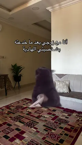 😂😂😂 #أم_عشاعيشو #السعودية #غربة #ضحك #كوميدي 