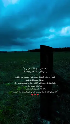 #معلومات_دينية #quran #دينيه #اللهم_صلي_على_نبينا_محمد #foryoupage 