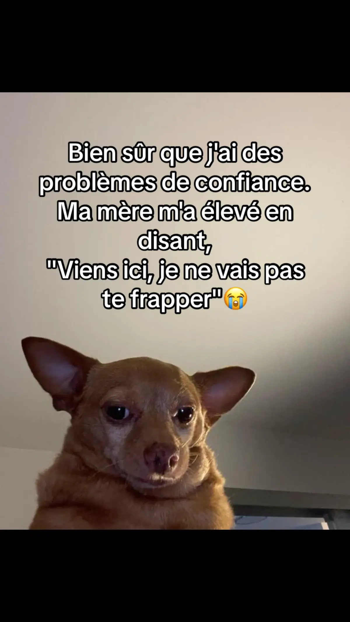 #Envrai #fyp #pourtoii #humour #fypシ゚ 