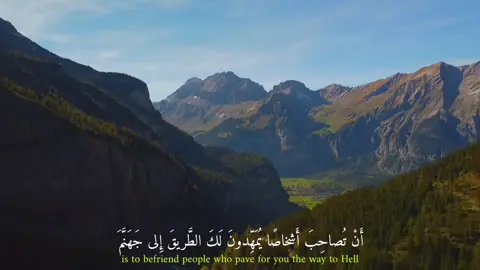 #creatorsearchinsights #اسلام