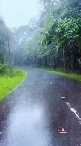 #Rainloverzz #Coldvibes #Nature