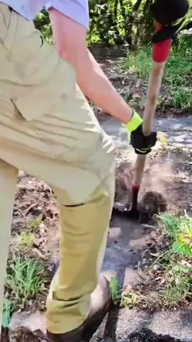 #satisfyingvideo #cleaning #lawncare #soclean #cutgrass 