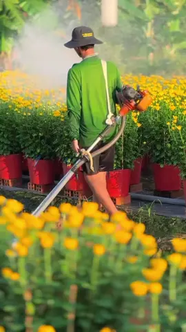 mới đó mà đã gần tết rùi#xuân2026🌺🧧🧨 #viral #uocduocxuhuong #viralvideo #banhkeotet 