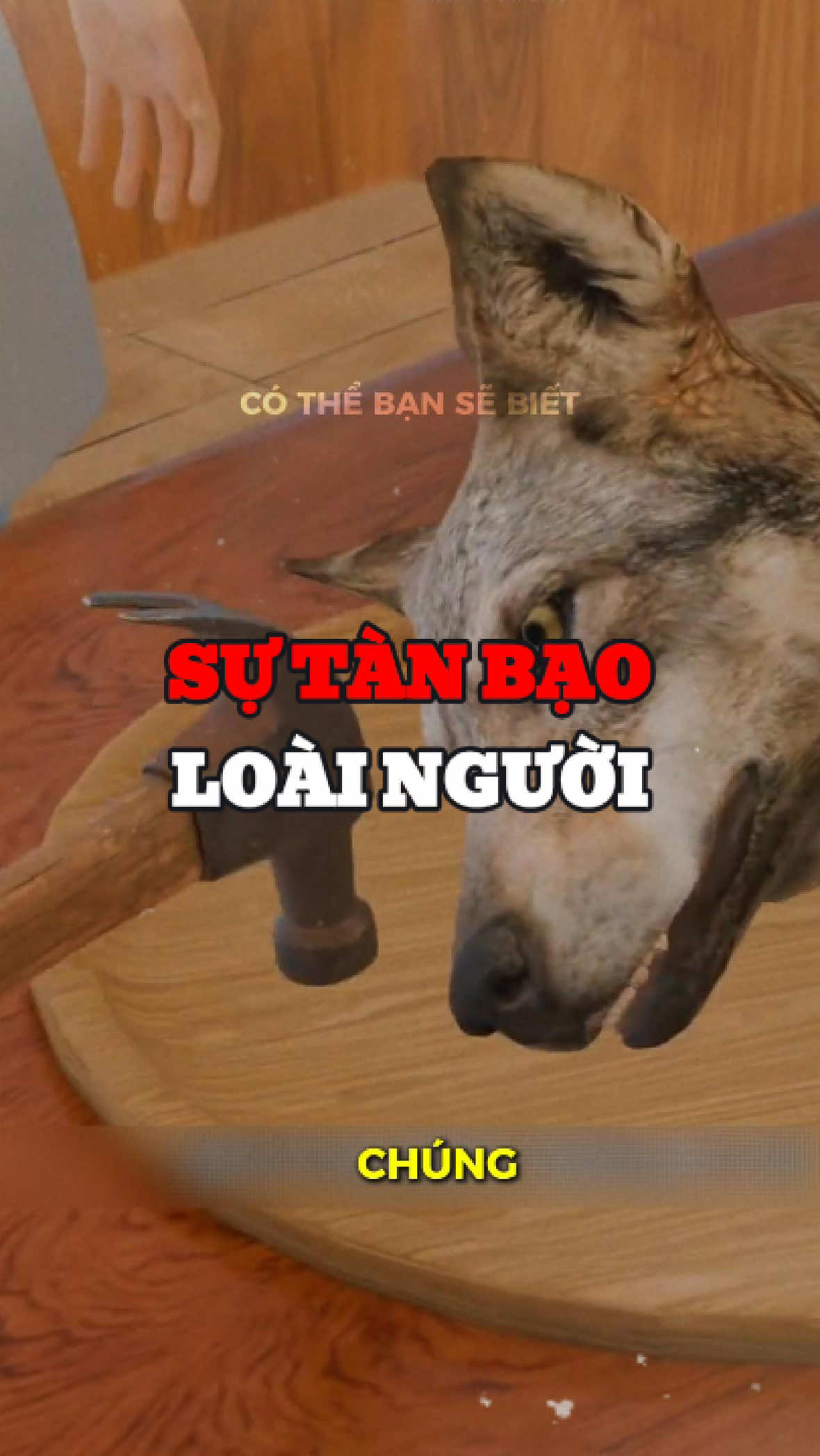 thật sự buồn #cothebanchuabiet #xuhuong #connguoi 