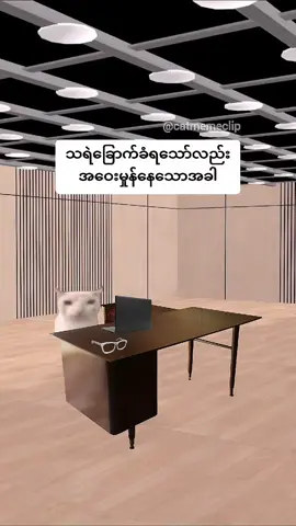 အဝေးမှုန်များ သရဲခြောက်ခံရသောအခါ #cat #funny #fyp #viral #myanmartiktok🇲🇲🇲🇲
