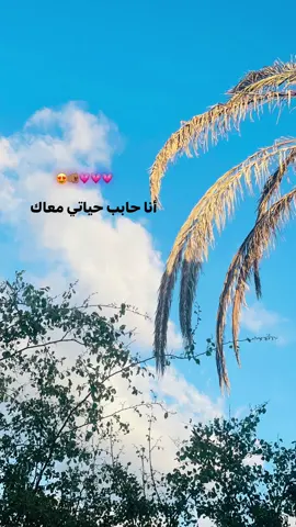 🫶🏻.#t_roma7 #fyp #fypppppppppppppp 