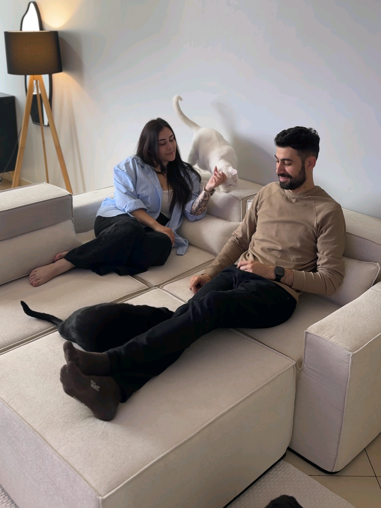 Chega compacto, cresce sozinho e ainda troca de roupa quando quiser! 🛋️ Já viu um sofá crescer sozinho? 😍 Chegou em caixas, passou por qualquer porta e começou a expandir quando abrimos! É a tecnologia SoftWake da @modifika.oficial compacto na viagem, gigante no conforto. Ele é modular, leve e super fácil de montar, perfeito pra quem ama mudar o ambiente sem dor de cabeça. E o melhor: as capas são trocáveis e laváveis. Enjoou da cor, quer dar uma limpada ou o pet testou as garrinhas? 👉 Modifika! 💙 Cupom COMEGURIA10 para ganhar 10% OFF 🚚 Frete grátis pra toda região Sul e SP Conforto, inovação e liberdade pra mudar a casa quando quiser.@Modifika 