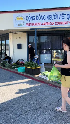 Chợ trời Việt Nam ở Mỹ 