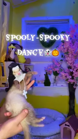 Dame tu cosita 👻🎃#cute #ferret #halloweencostume #halloweenlook 