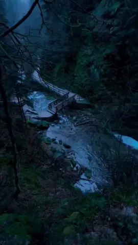 Life we live - Tommy lee #tommyleesparta #lyrics #dancehallmusic #lyricalmusic #lyricsedit 