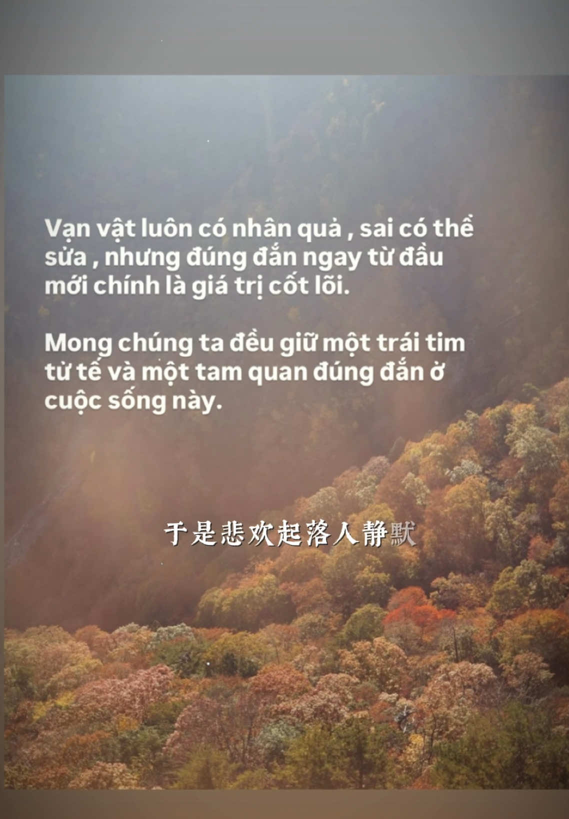 | P91 - Động lực. Gửi bạn.. #xuhuong #cuocsong #nhanqua #tamtrang #capcut  
