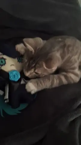 Ich liebe ado  #ado #adolutecinema 