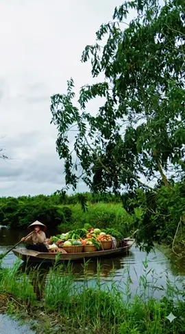 Nhớ lại thời chưa có khói bụi của các phương tiện giao thông hiện đại. #canhqueyenbinh #hoainiem #mientay #foryou #boconganh 