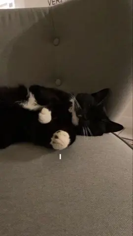 #lyrics #foryou #yckoimebskt #somebodyspleasure #azizhedra 