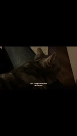 The mercy of الله is the foundation of Islam- never forget that #islam #islamicreminder #muslim #faith #foryou