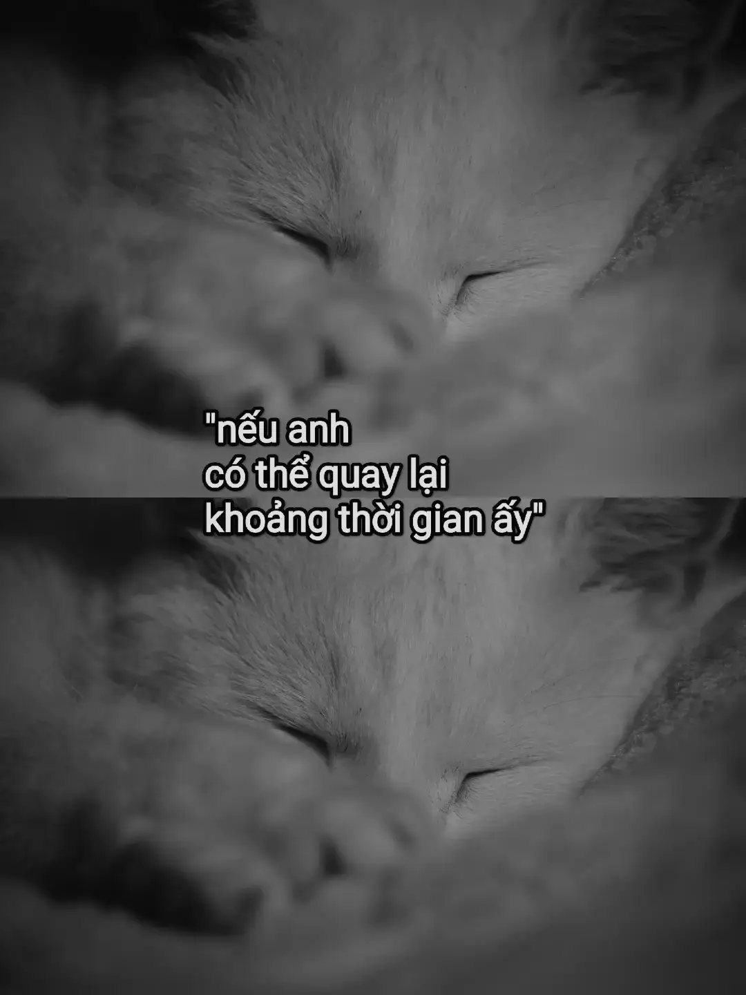 #buon #xuhuongtiktok #tamtrangbuon #tinhyeu #ebelongne 