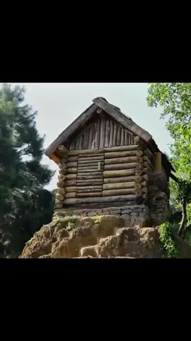 building a cabin house in the forest #Bushcraft #Survival #NatureASMR #OutdoorLife #viral 