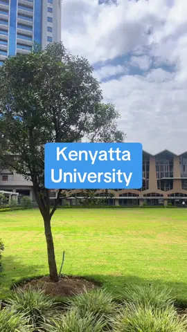 Kenyan university students express frustration about the ongoing uasu led lecturers strike clocking day 44 today since it started 