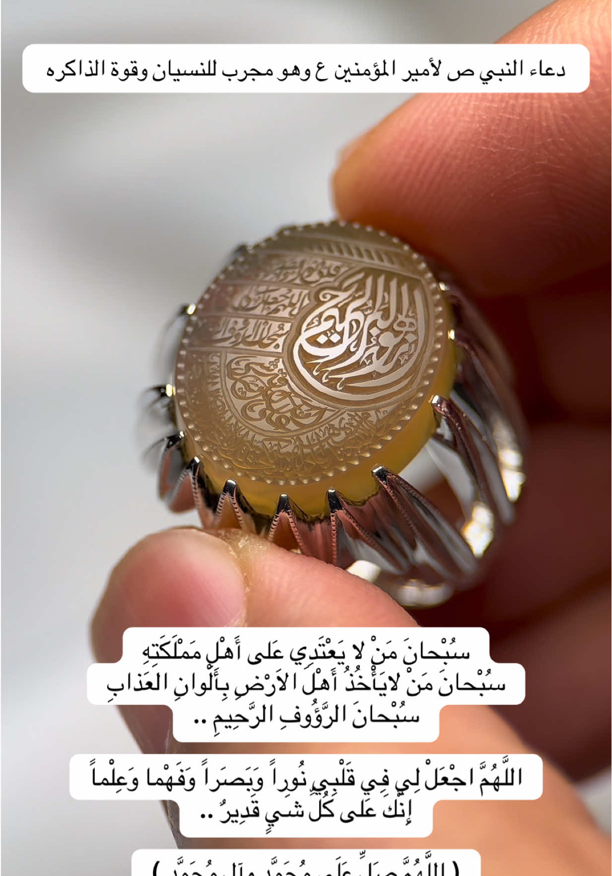 ⁨⚜️جمال الخام الزيتي اليماني⚜️ 🔖 سُبْحانَ مَنْ لا يَعْتَدِي عَلى أَهْلِ مَمْلَكَتِهِ سُبْحانَ مَنْ لايَأْخُذُ أَهْلَ الاَرْضِ بِأَلْوانِ العَذابِ سُبْحانَ الرَّؤُوفِ الرَّحِيمِ .. 🔖 اللَّهُمَّ اجْعَلْ لِي فِي قَلْبِي نُوراً وَبَصَراً وَفَهْما وَعِلْماً إِنَّكَ عَلى كُلِّ شَيٍ قَدِيرٌ .. 🔖 ( اللَّهُمَّ صَلِّ عَلَى مُحَمَّدٍ وآلِ مُحَمَّدٍ ) _______________________________ 🖋️ خط الاستاذ : سيد حسين هاشمي ، بإمضاء : أبا تراب 📌مقاس الحجر : ١٨ ملي • 🔻للطلب والإستفسار عن الأسعار🔻 عبر الخاص ♻️ او الواتساب 👇🏻 ‏🇰🇼 00965,99945691 • 🎁التوصيل في الكويت ولجميع دول العالم⁩