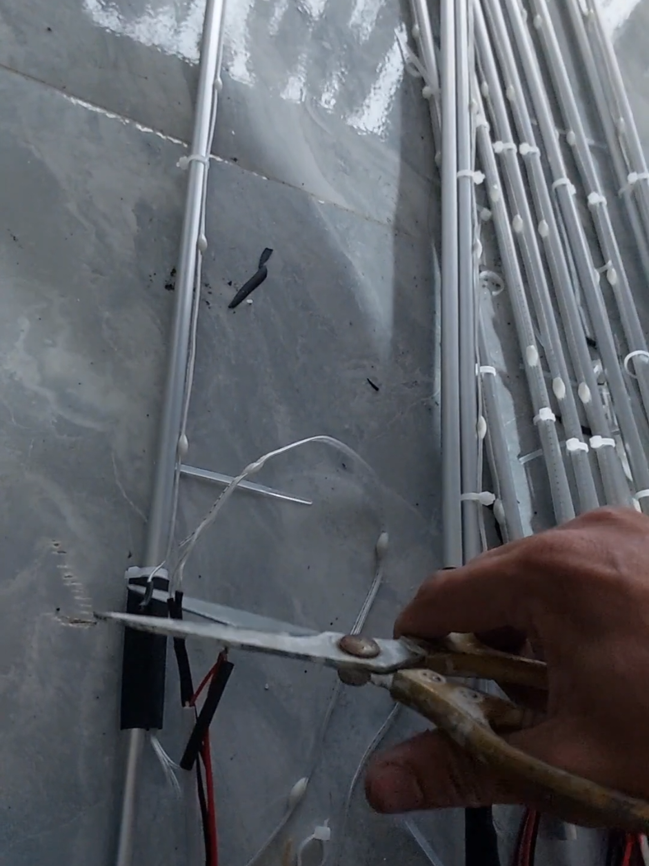 Đèn led pháo hoa trang trí tết #ledphaohoa #trangtritet #ledtrangtri #ledankhang 