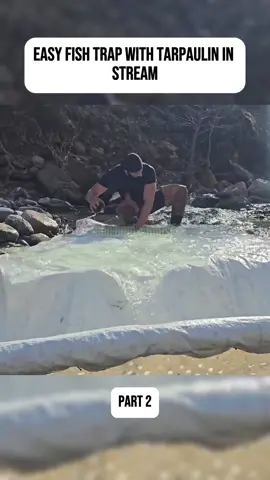 EASY FISH TRAP WITH TARPAULIN IN STREAM Part 2 #camping #building #campinglife #survival #travel 