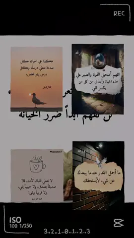 #مشاهدات_تيك_توك #اقتباسات_عبارات_خواطر🖤🦋❤️ #عبارات_ابوعلي 