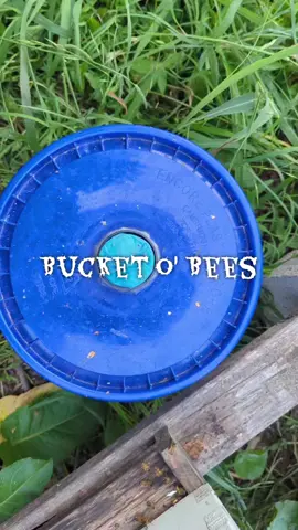 Happy Halloween, Y'all! #group7  heeding the call. #Step2 Thank you @Sophia James 