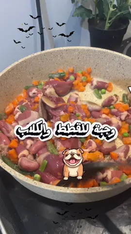 ✅ حبوها اكثر من الدراي فود وماتكلف20 ريال وجبة غنية بالعناصر الغذائية تقدم باعتدال   #كلاب #قطط #dogtiktok #اكل_قطط #وجبة_للكلاب 