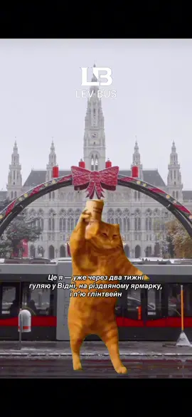 Тур Різдвяний Відень🎄🌟 🤍Для деталей та бронювання – пишіть у повідомлення або телефонуйте за номером: +380 (97) 144 1001 #турвідень #travel #різдвянаярмарка #трансфервідень #vienna 