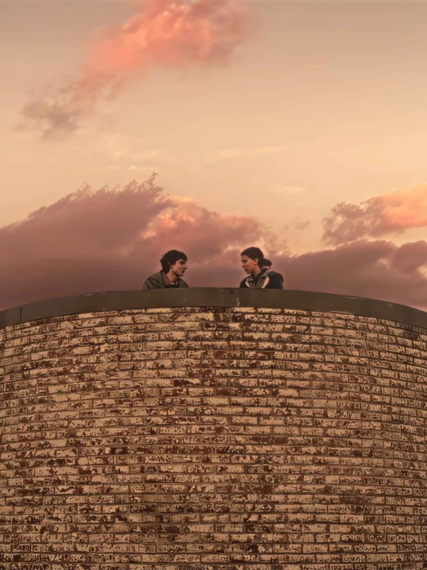 Stranger Things 5 New Trailer Out! 😭🛐 #strangerthings #strangerthings5 #strangerthingstrailer #netflixseries #netflix