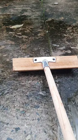 #caycharongreu #choicharongreu #xuhuong 