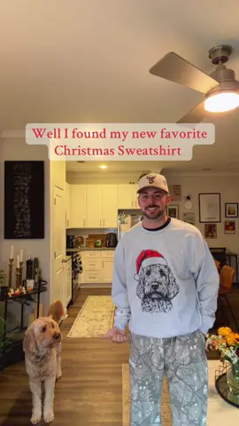 Really trying to get Fitz into the Christmas spirit this year 😎 #dogs #dog #dogsoftiktok #christmas #holidays 