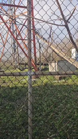 why uno na get no signal  #souljapupkennels #souljapupkennel #leaderofthepack #jamaicadogwhisperer #rottweiler 