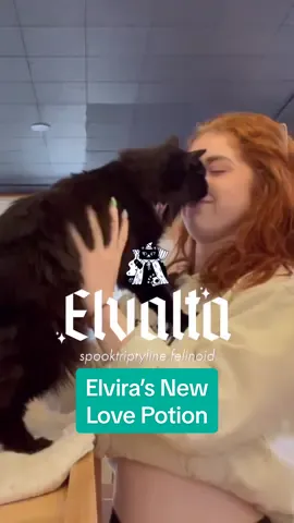 Is it a love potion? Why are all of our eyes turning into spirals? We cannot recommend Elvira’s mewest Elvira Season venture but we suddenly feel the urge to transfer our assets to her?  #nekocatcafe #catcafe #catsoftiktok #seattle #spookyseason 
