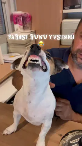 Zeus her zaman ki gibi formunda😂#zeus #keşfet 