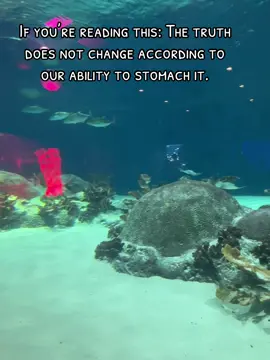 #quotes #motivation #fyp #Love #fypシ 