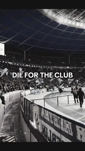 Bro this has too go viral😭🙏#tifo #edit #hooligans #ultras #football #fyp #viral 