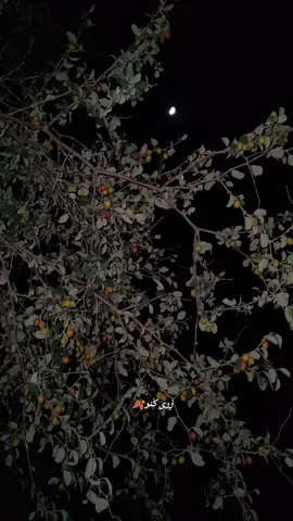 🌘🤍اُستاد #mah #balochisongs #nkb #fyp #foryou 