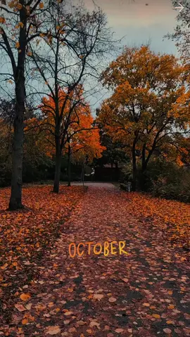 🍂🍁🪾🤎🍂🍁 #Deutschland❤️🇩🇪 