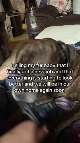 #storytime #WeDidIt #Love #furbaby #fyp 