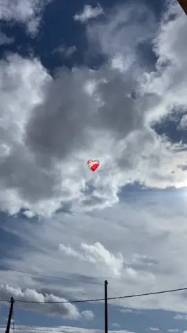 #الشعب_الصيني_ماله_حل😂😂 #viral #اكسبلور #dz #💔 