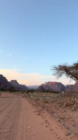 #اكسبلور #الديسه 