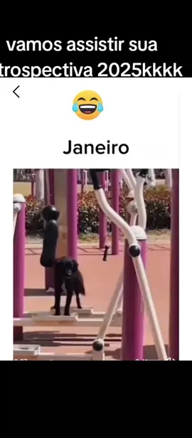 #videoengracado #segueai 